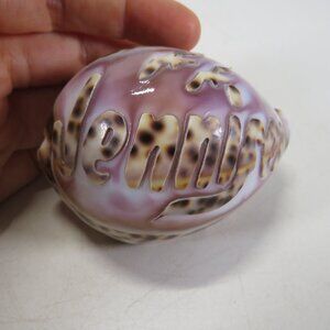REAL Sea Shell Hand-Carved “Jennifer” Cowrie Shell Hawaiian